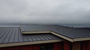 Best Roof Maintenance and Cleaning  in Krugerville, TX